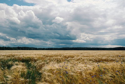 Scenic view of field against cloudy sky