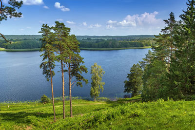 View of linkmenas lake from ladakalnis hill in aukstaitija national park, lithuania