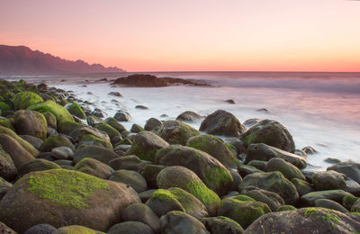 Costa de agaete