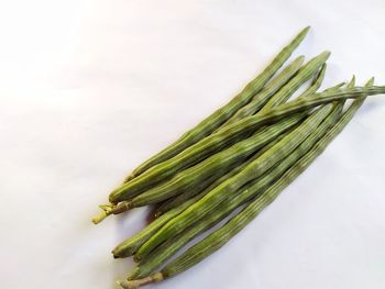 High angle view of leaf on table against white background