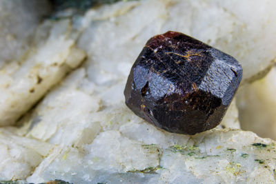 Close-up of ice cream