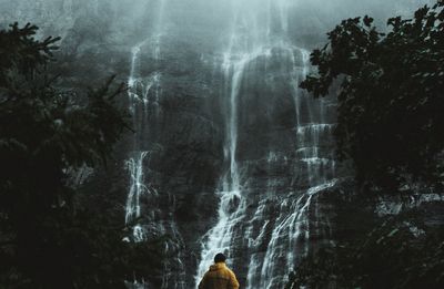 Rear view of waterfall in forest