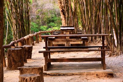 Empty bench in forest