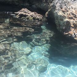 Close-up of rocks in sea