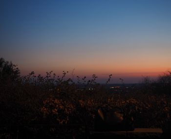 Silhouette trees against sky during sunset