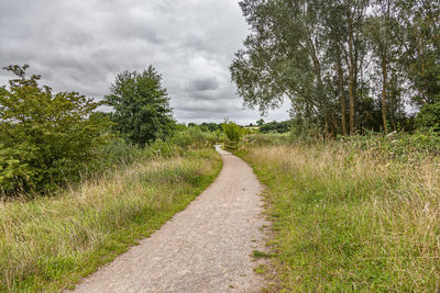 Dirt road along plants and trees against sky