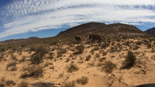 Scenic view of land against sky