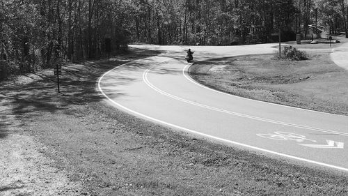 Road along trees