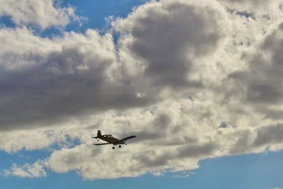 Low angle view of airplane flying in sky