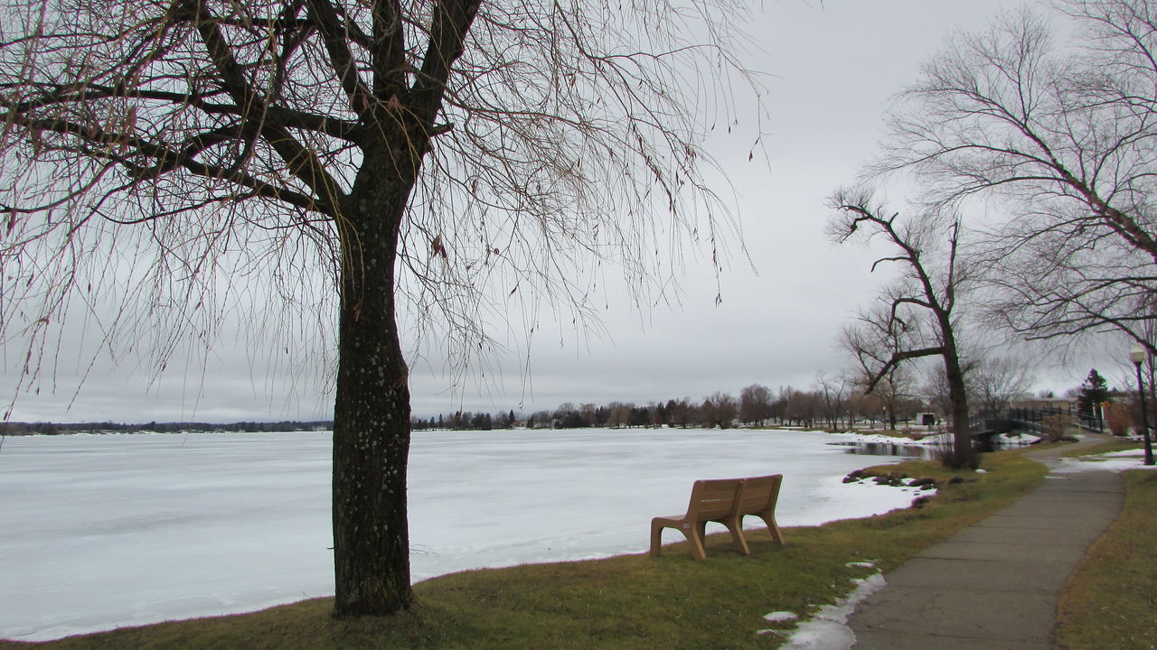 tree, nature, table, outdoors, tranquility, no people, chair, beauty in nature, water, sky, lake, scenics, branch, day