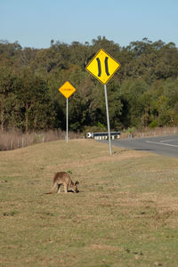 Road sign in a field