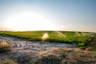 Scenic view of field against sky