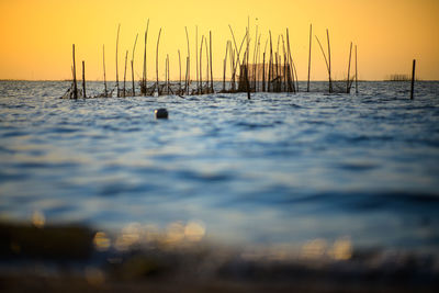 Scenic view of sea against sky during sunset
