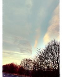 Silhouette trees against sky during sunset
