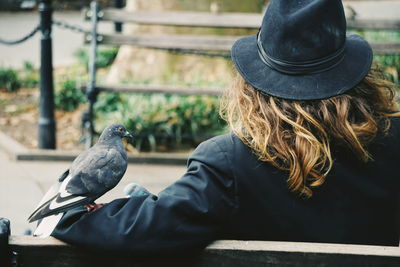 Rear view of man with pigeon perching on hand