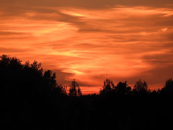 Silhouette trees against orange sky