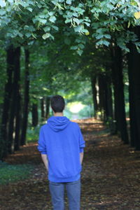 Rear view of man standing on footpath in forest