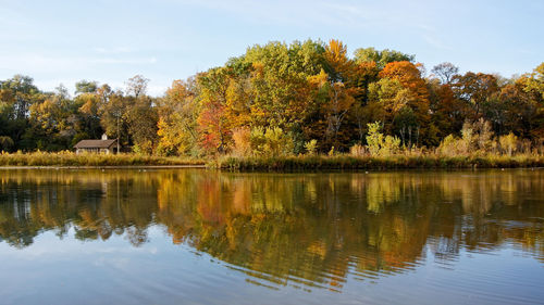 Trees by lake against sky during autumn