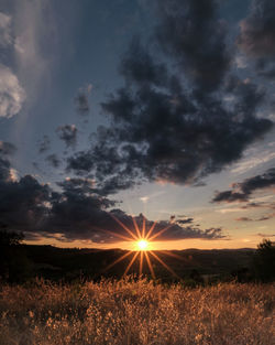 Scenic view of field against sky during sunset