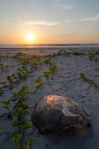 Scenic view of sea against sky at sunset