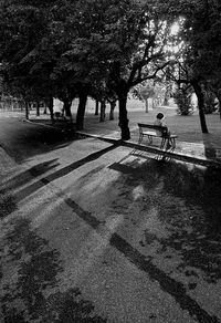 Shadow of people on road