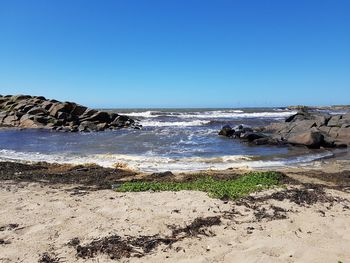 Scenic view of beach against clear blue sky