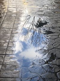 Reflection of trees in puddle on lake