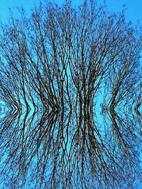 Low angle view of bare tree against blue sky