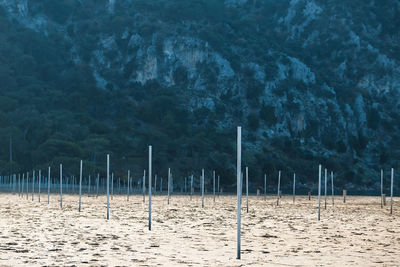 Metal posts on field by trees