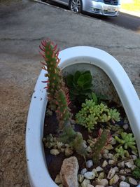 High angle view of potted plants