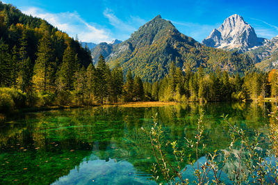 Scenic view of lake by trees against sky