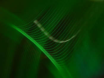 Close-up of green light pattern