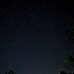 Low angle view of stars against sky at night
