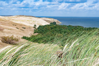 Nagliai nature reserve in neringa, lithuania. dead dunes, sand hills built by strong winds