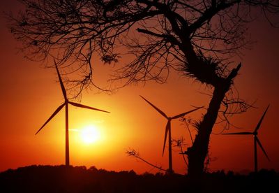 Silhouette of tree at sunset