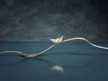 Close-up of white rose on table against blue background