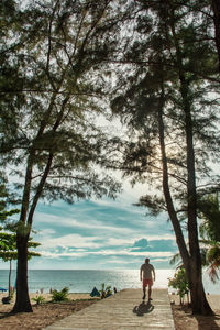 Rear view of man looking at sea