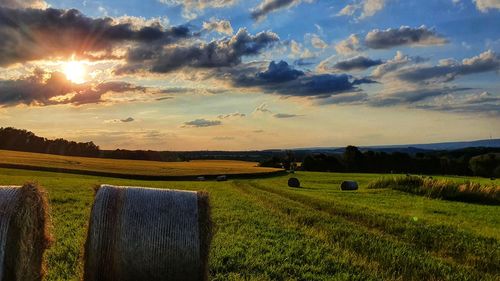Scenic view of field against sky during sunset