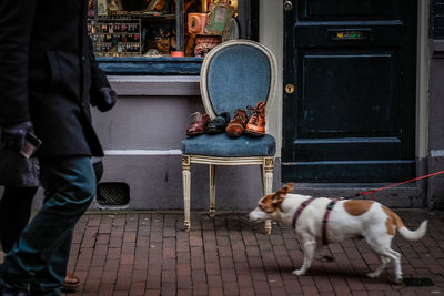 Low section of man with dog and shoes in background 