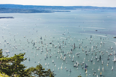 High angle view of trees on sea shore