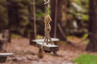 Close-up of swing hanging on rope