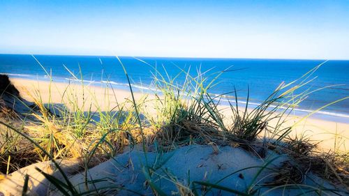 Scenic view of sea against clear sky