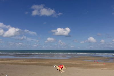 Rear view of woman standing at beach against sky