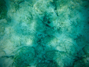 Full frame shot of rocks