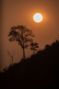 Silhouette tree against sky during sunset