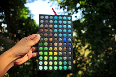 Close-up of hand holding multi colored tree