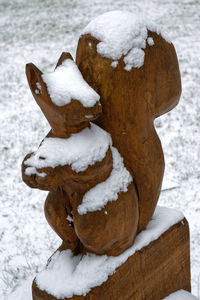 Close-up of snow on wood