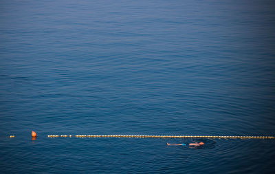 High angle view of woman swimming in sea