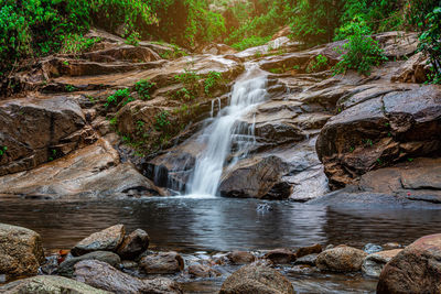 Scenic view of waterfall in forest