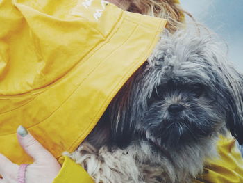 Close-up of woman holding dog